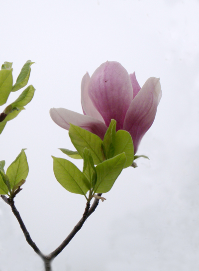 ���� DSC05054.JPG