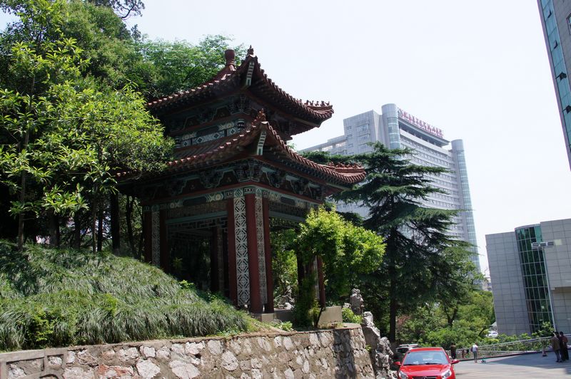 DSC06078 - ����.JPG