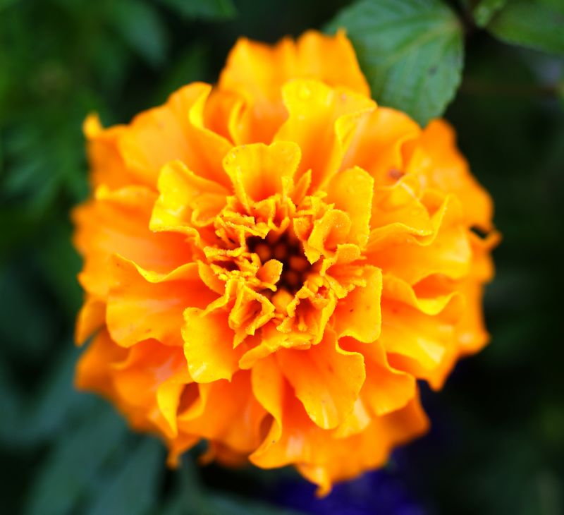 DSC06881 - ����.JPG