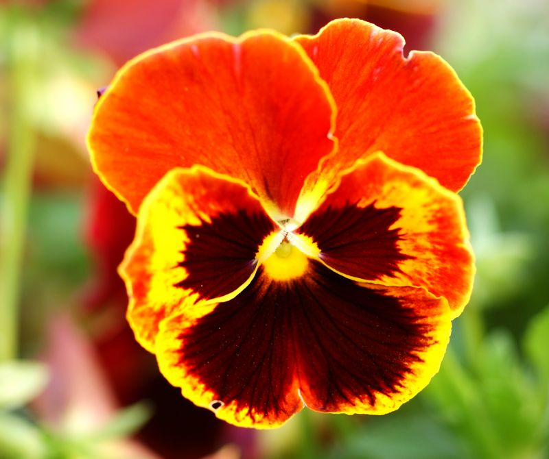 DSC06893 - ����.JPG