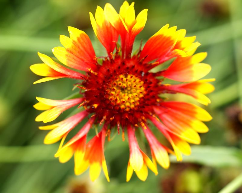 DSC06883 - ����.JPG