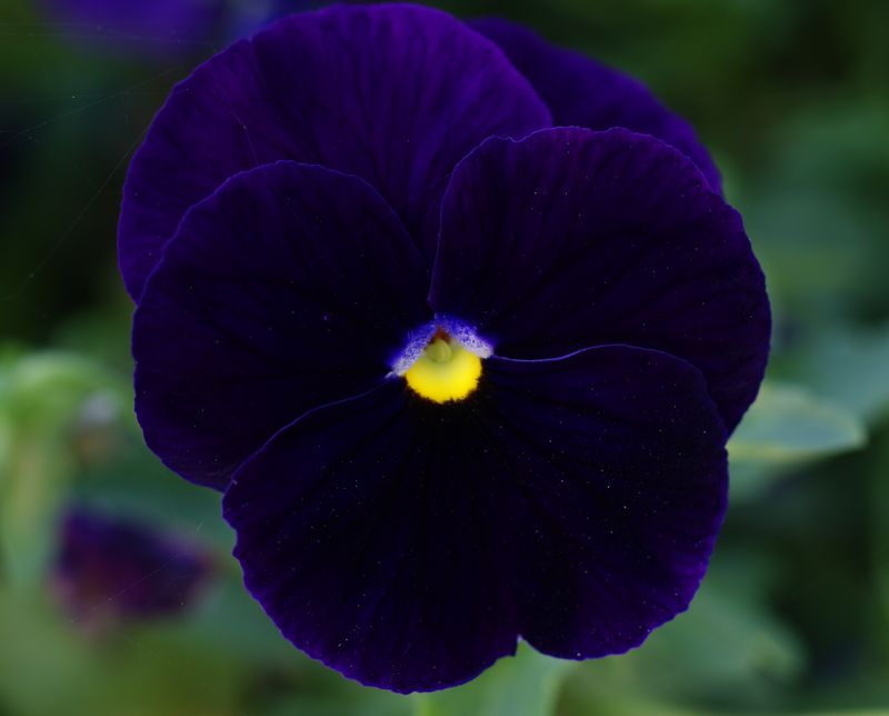 DSC06911 - ����.JPG