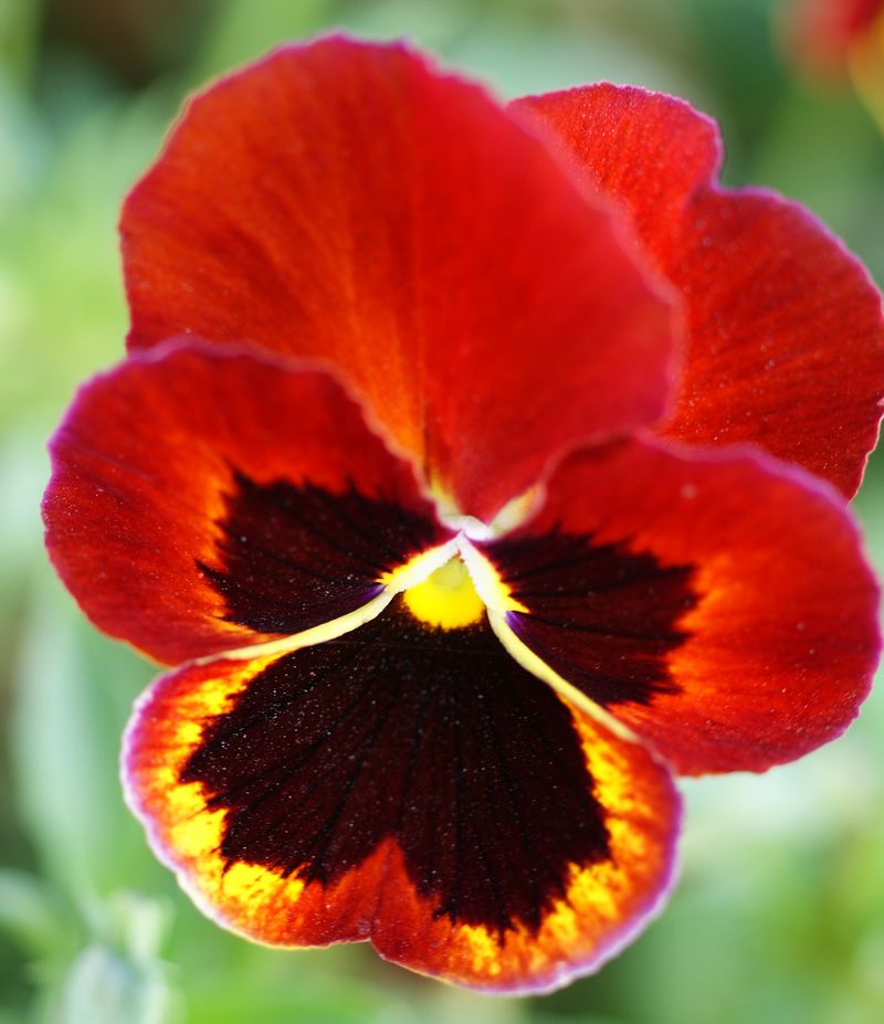 DSC06892 - ����.JPG