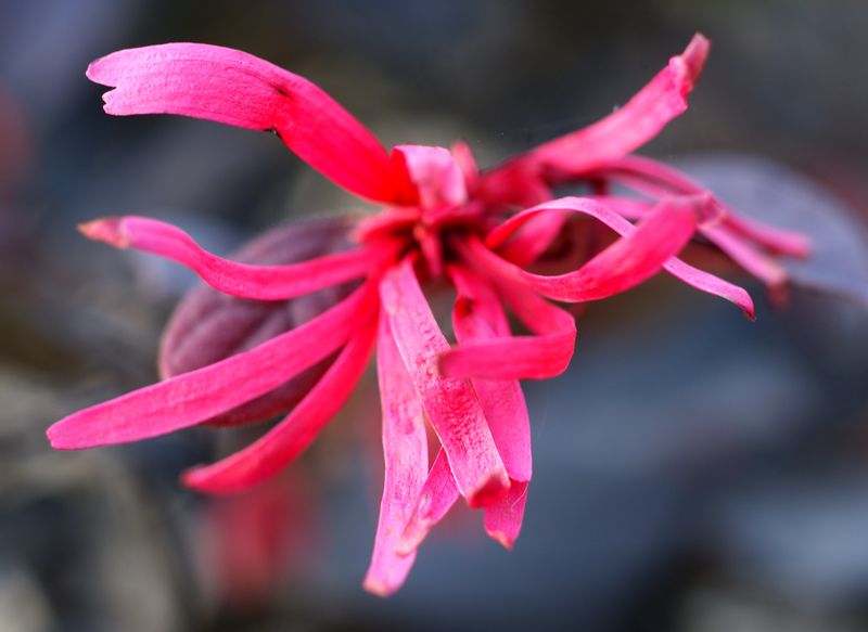 DSC06901 - ����.JPG