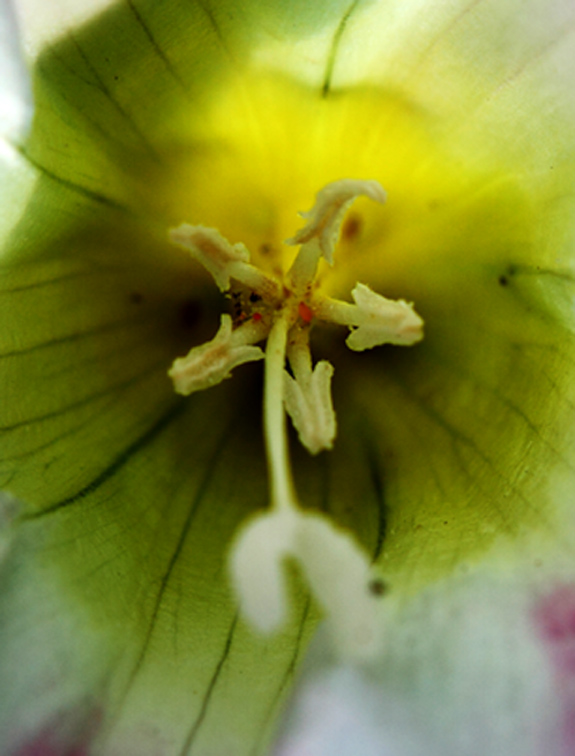 _MG_57350 ����.jpg