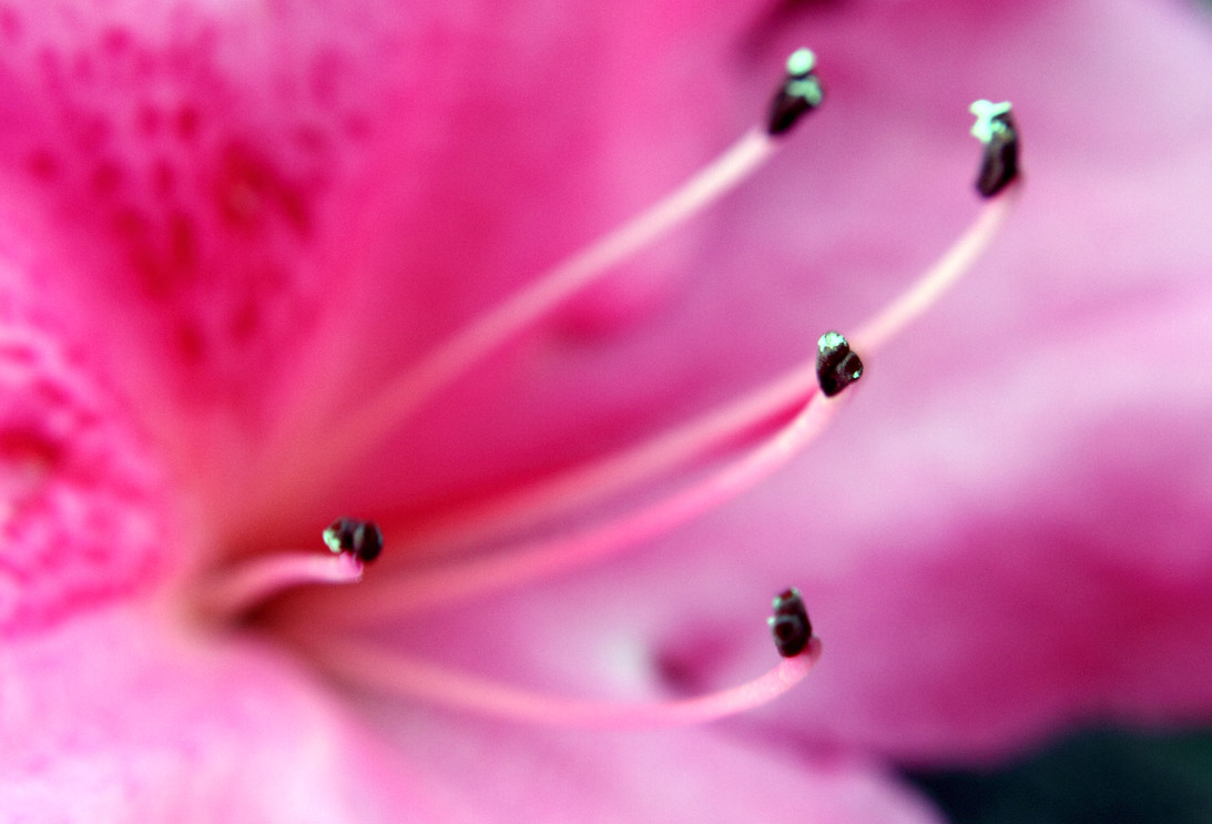 _MG_5749 ����.jpg