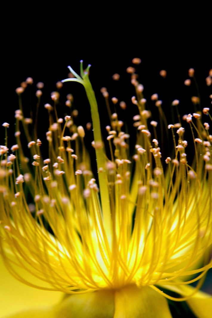 _MG_5780 ����.jpg