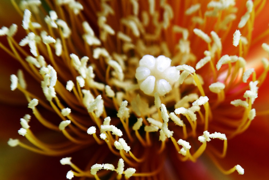 _MG_5764 ����.jpg