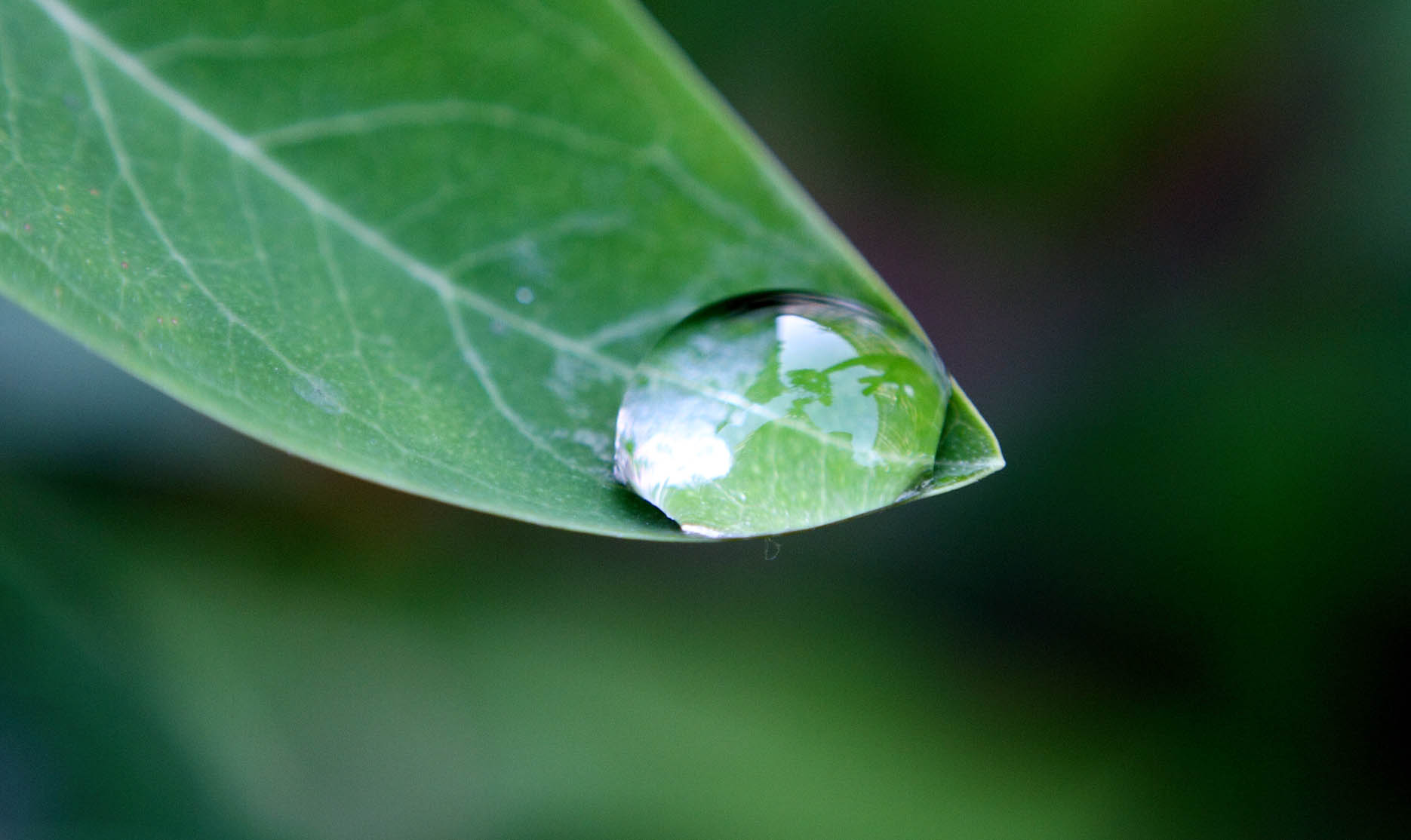 _MG_5806 ����.jpg