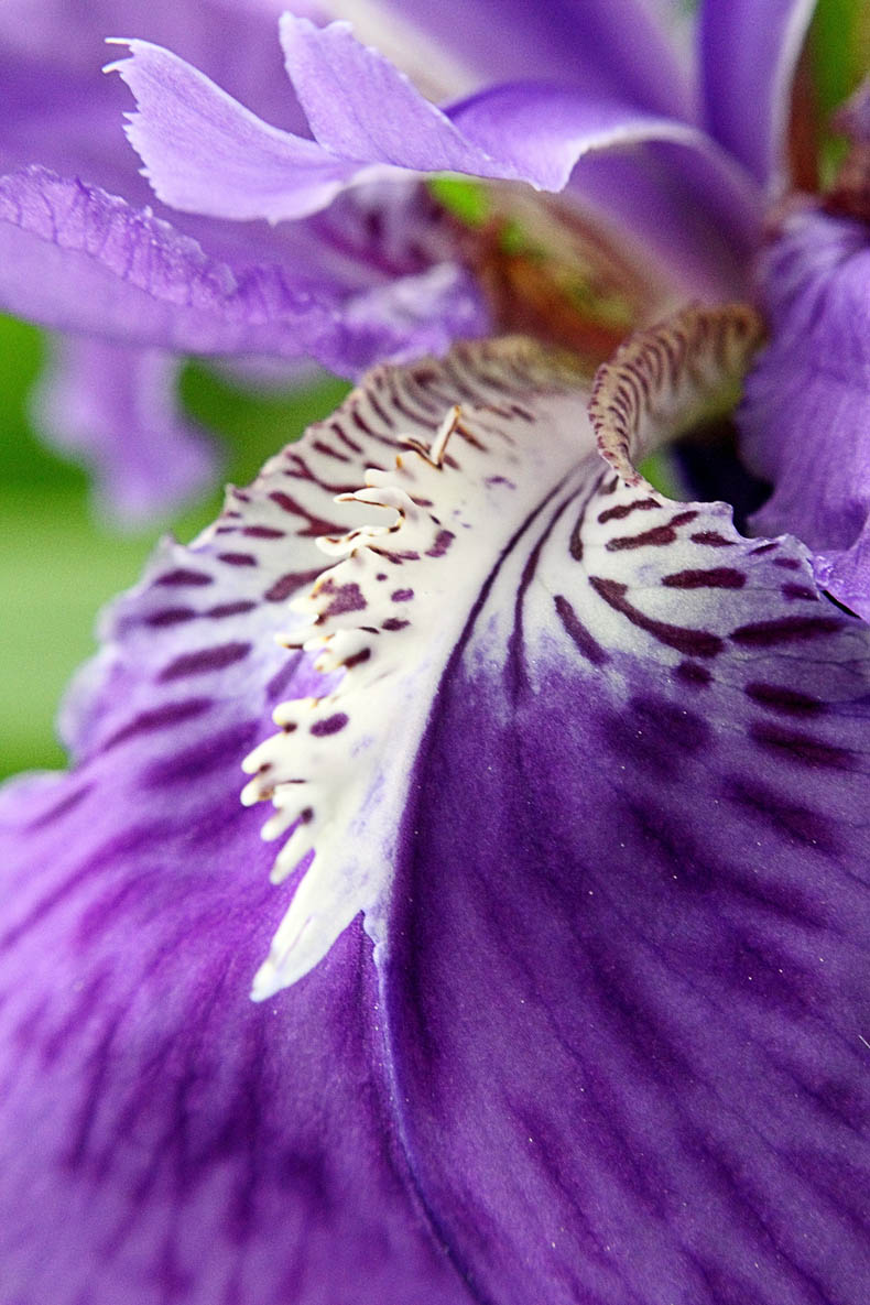 _MG_5697 ����.jpg