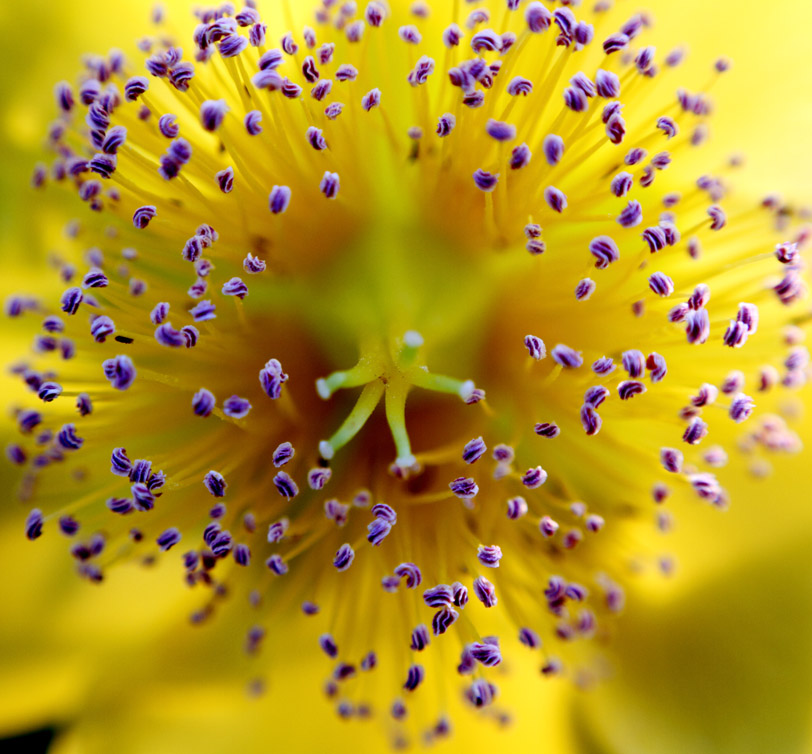 _MG_5794 ����.jpg