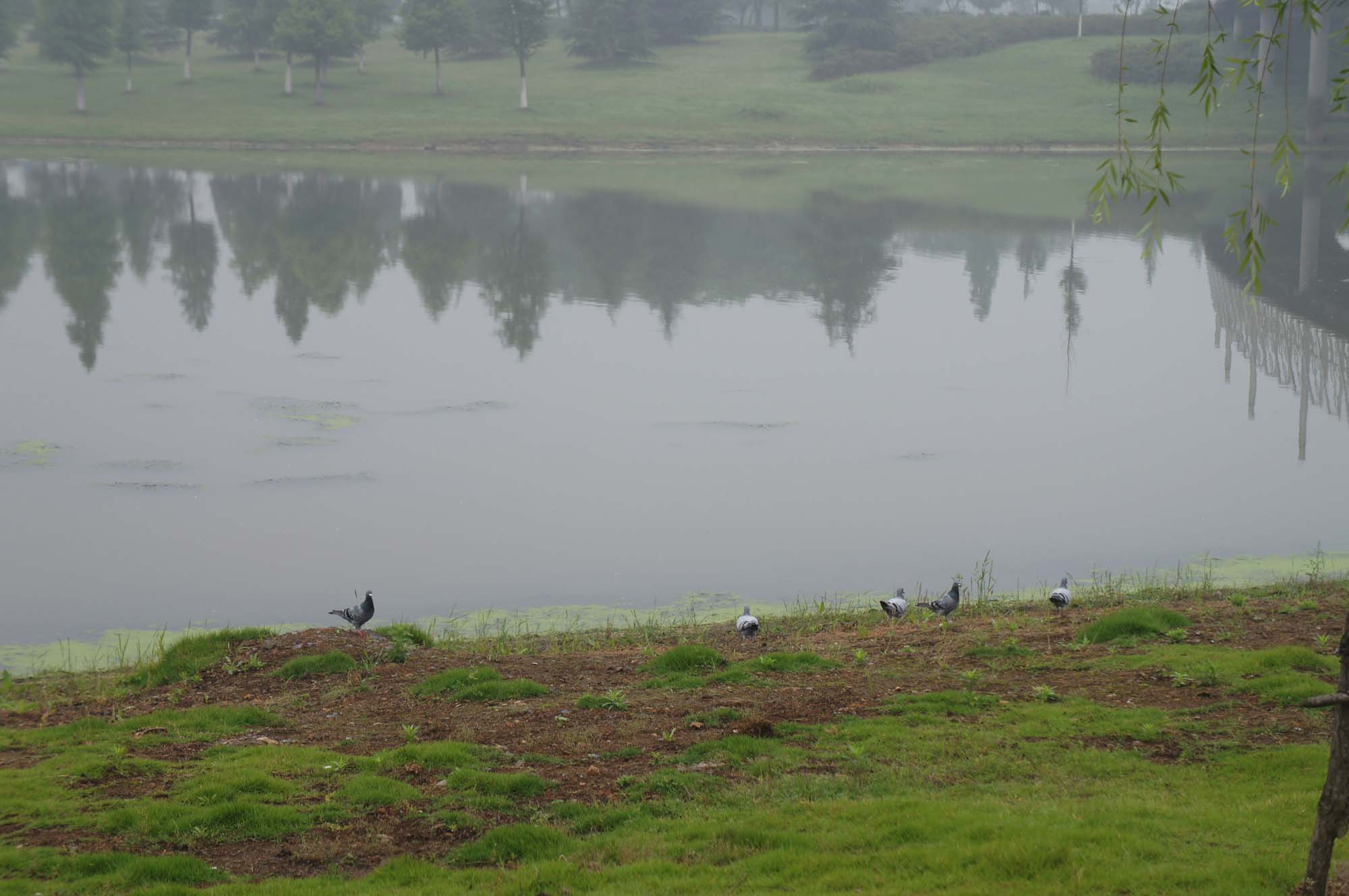 ���� DSC00154.JPG