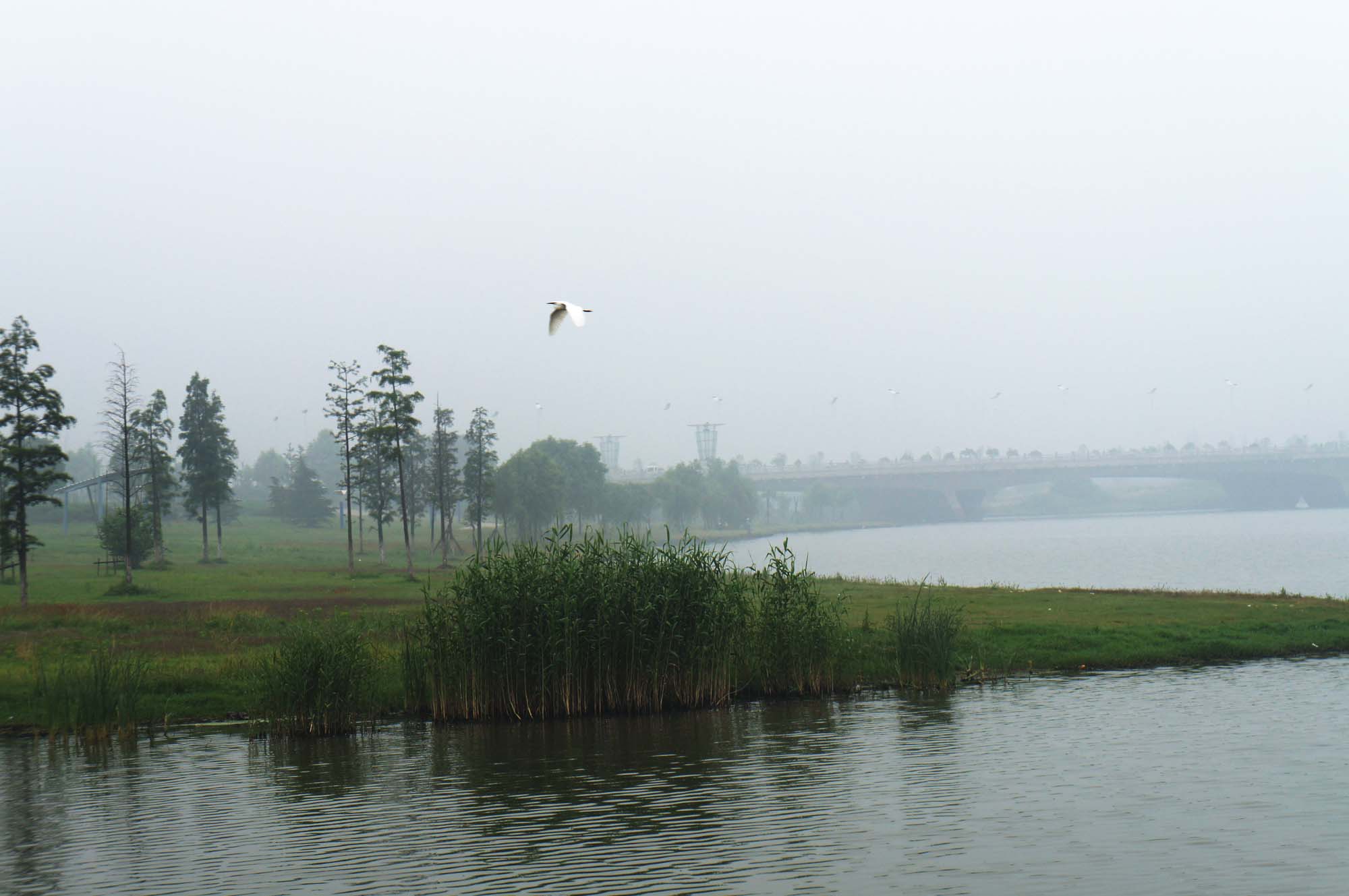 ���� DSC00189.JPG