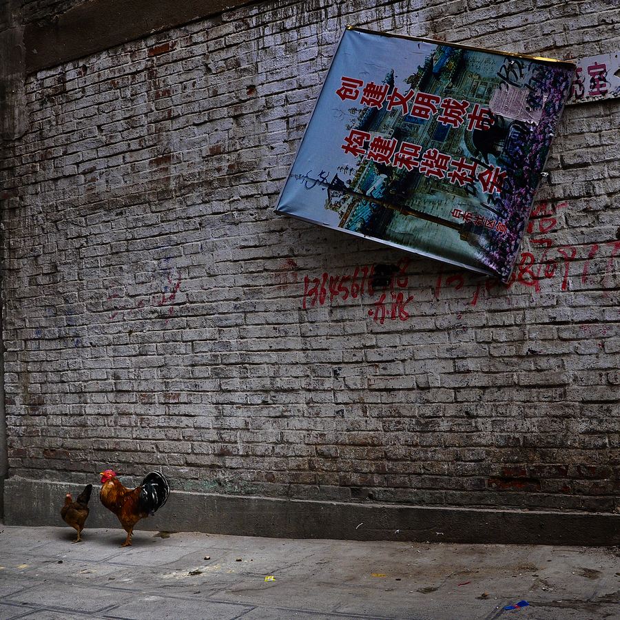 DSC_0204 ����.JPG