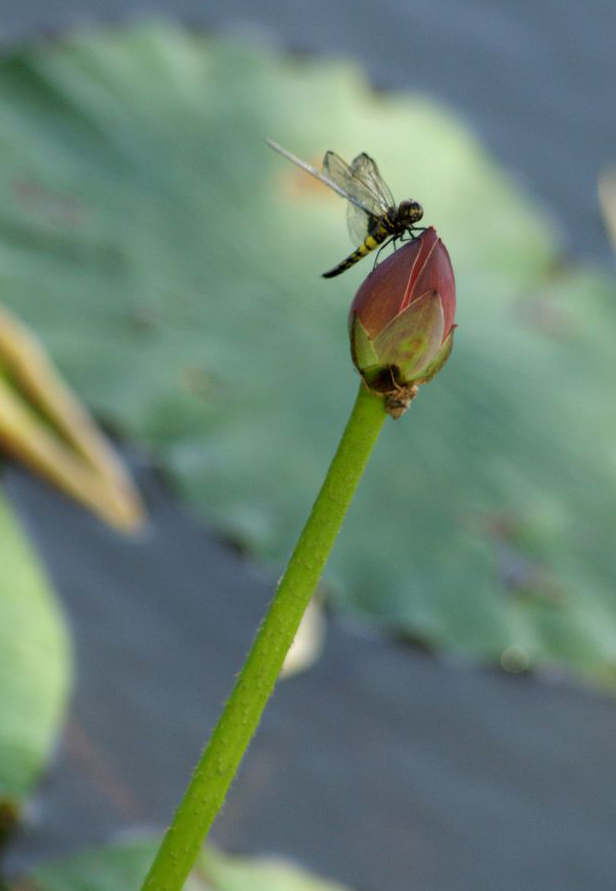 1206031706484287c96b1c83dc ����.jpg