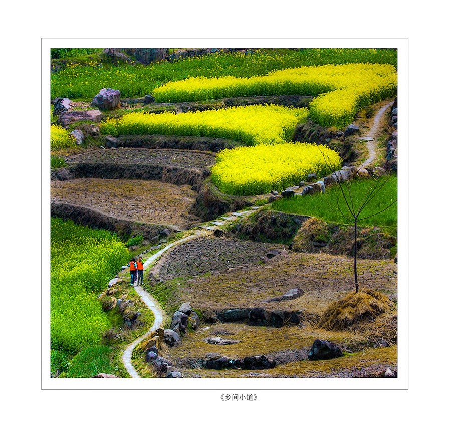 120607215841820995ed12616d ����.jpg