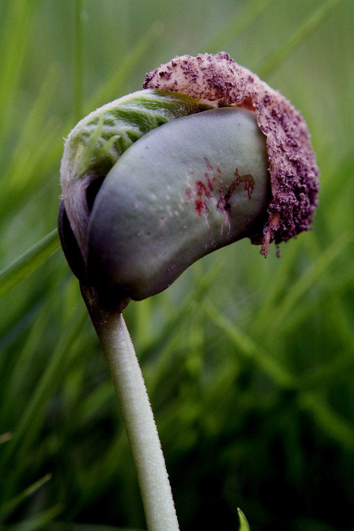 _MG_5858 ����.jpg