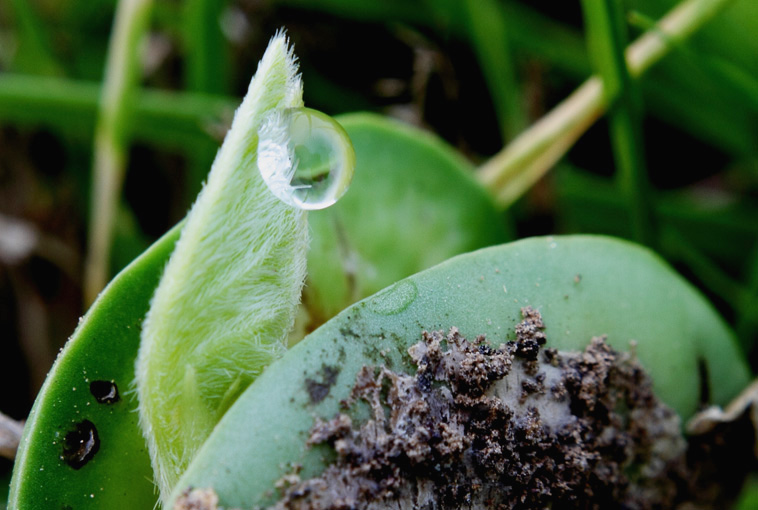 _MG_5885 ����.jpg