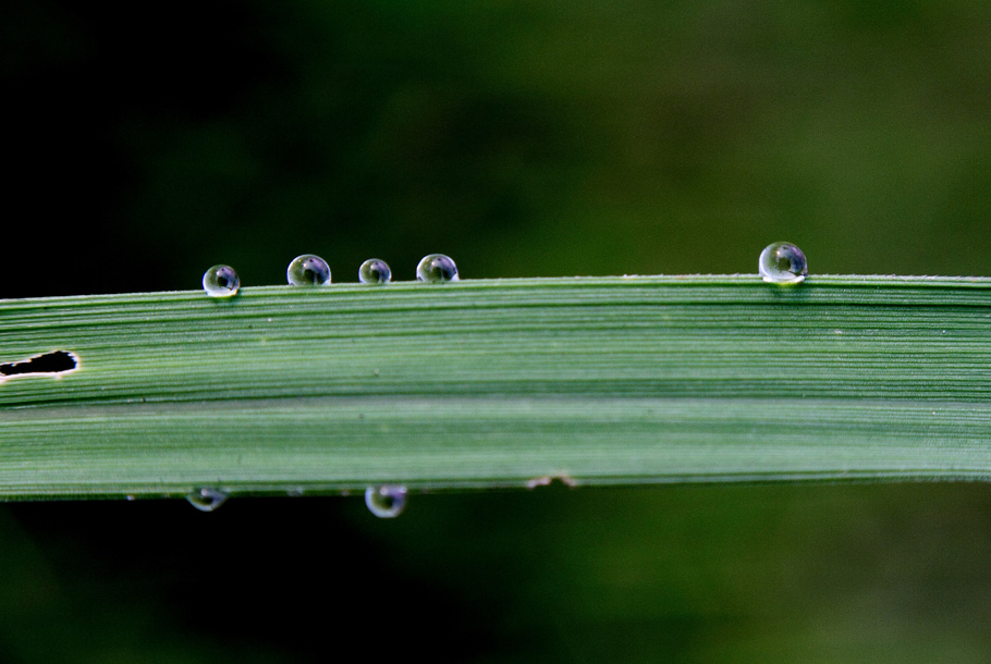 _MG_5900 ����.jpg