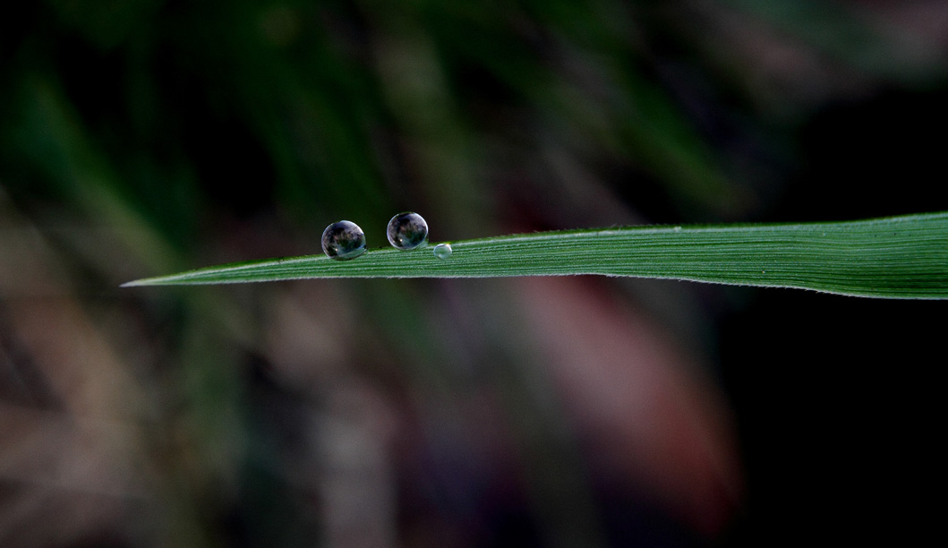 _MG_5905 ����.jpg