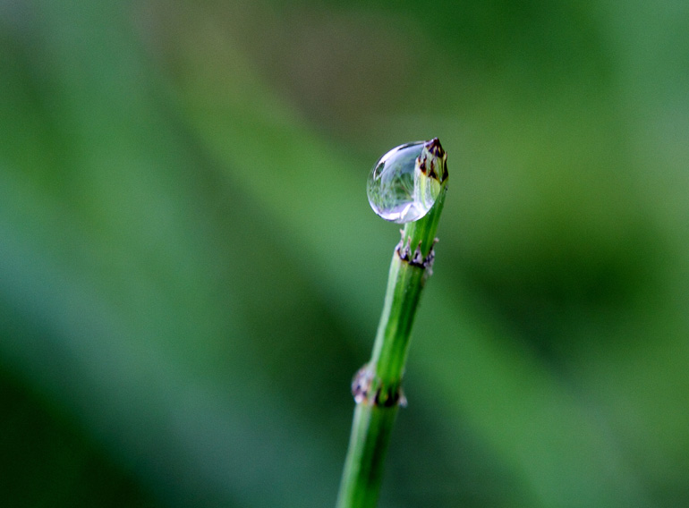 _MG_5957 ����.jpg