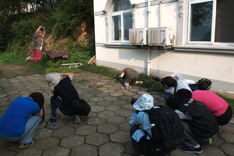 ����Ҳ���Է�