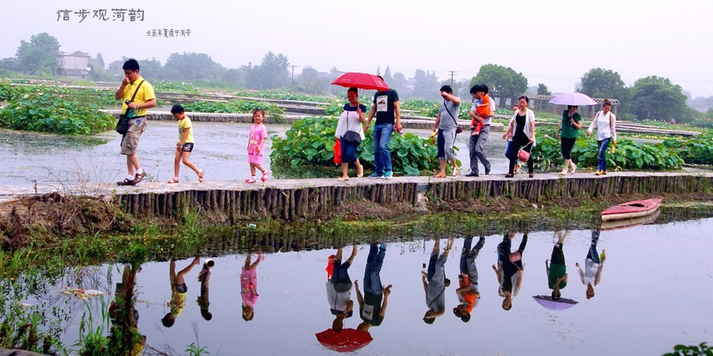 ���� (2) DSC_5075�����_conew3.JPG