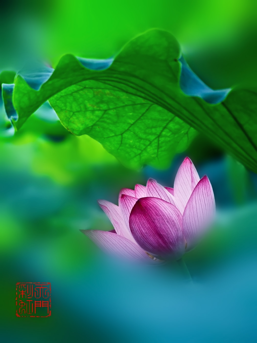 DSCF4732 ����_������С.jpg