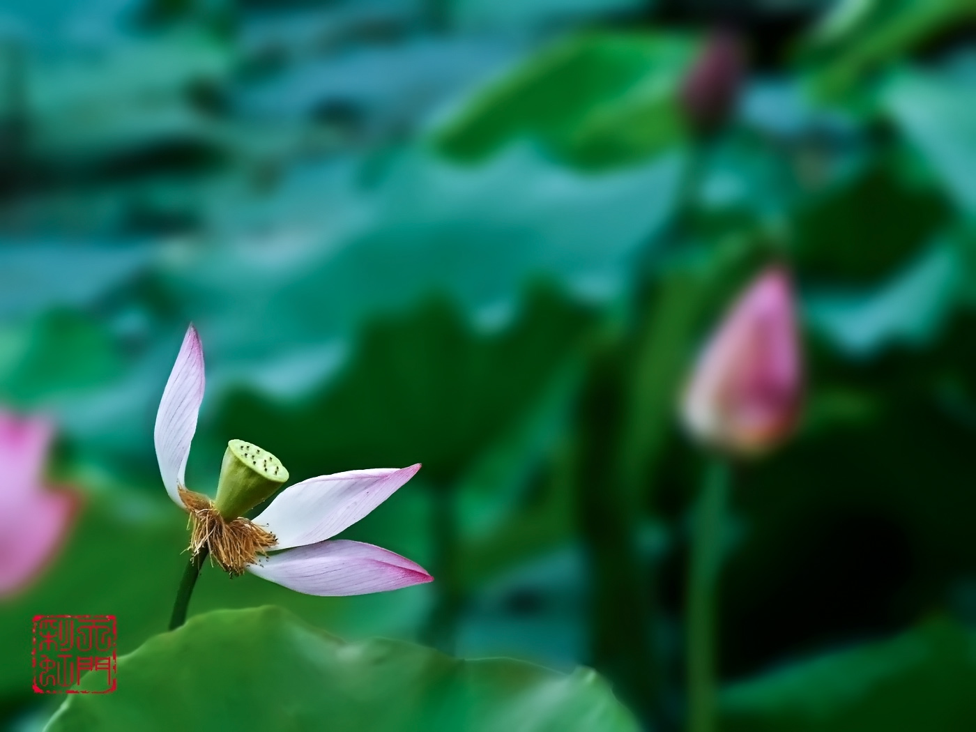 DSCF4766 ����_������С.jpg