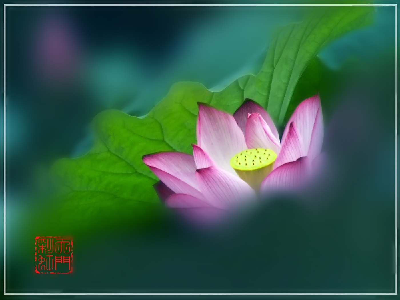 DSCF4711 ����_������С.jpg