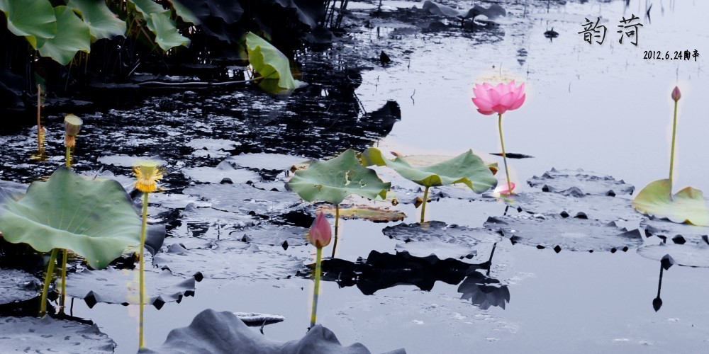 ���� DSC02479_conew4.JPG