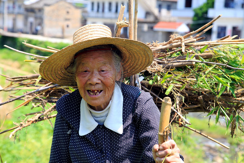 ������˪