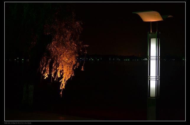 ���� DSC_0024.JPG