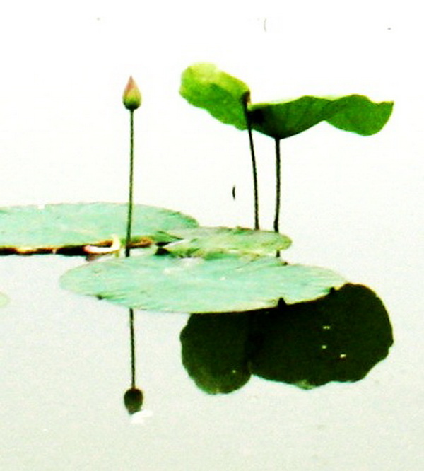 ���� 2012.4.17 264_conew1.jpg