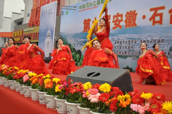 ��Ҷ�� (13).JPG