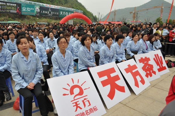 ��Ҷ�� (8).JPG