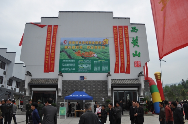 ��Ҷ�� (5).JPG