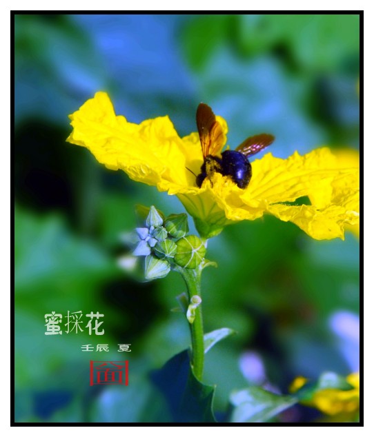 ���� DSC_5554_conew2.jpg