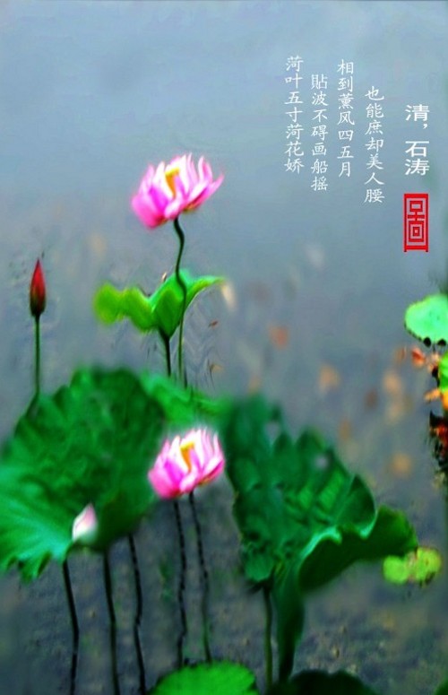 ���� ���� DSC_5004_conew8.JPG