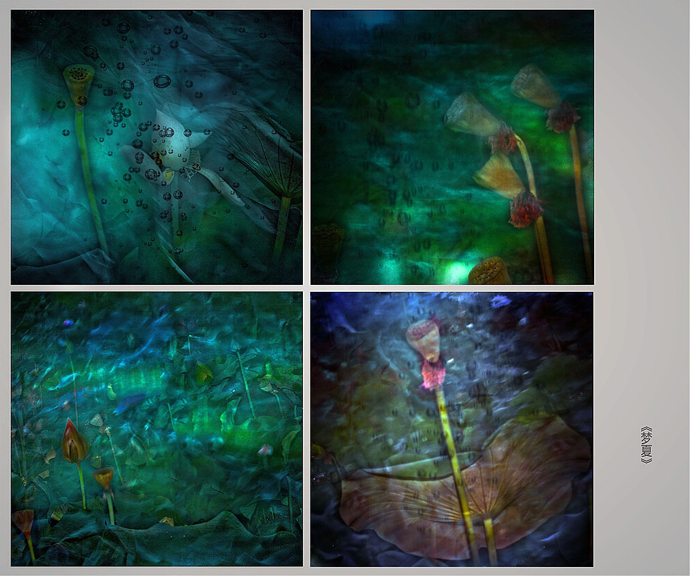 DSC_7608 ����11.jpg