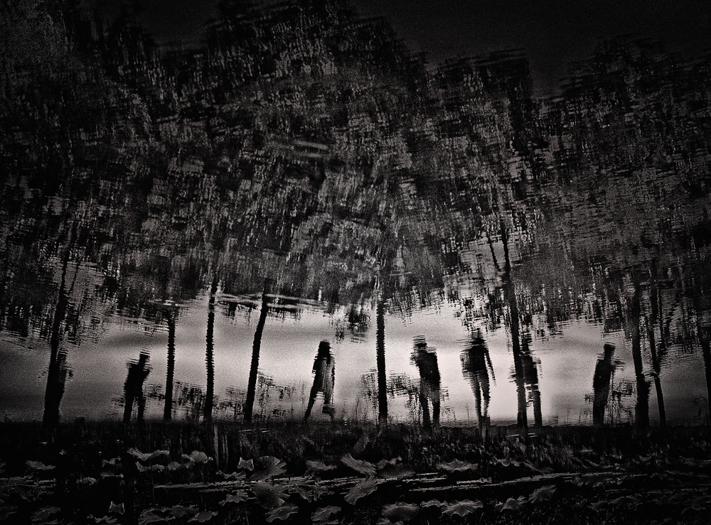 ����_DSC4922��Ϊ���ܶ���-1 ������Ϊ���ܶ���-1 ����.jpg