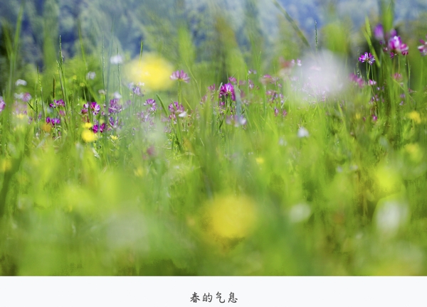 ������Ϣ ����ɽ��С�� 13026080822 ����.jpg