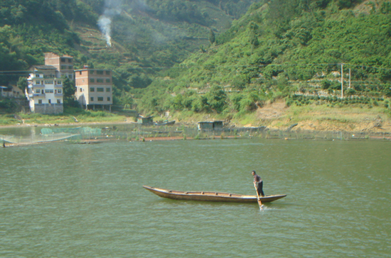 ���� DSC01086.JPG