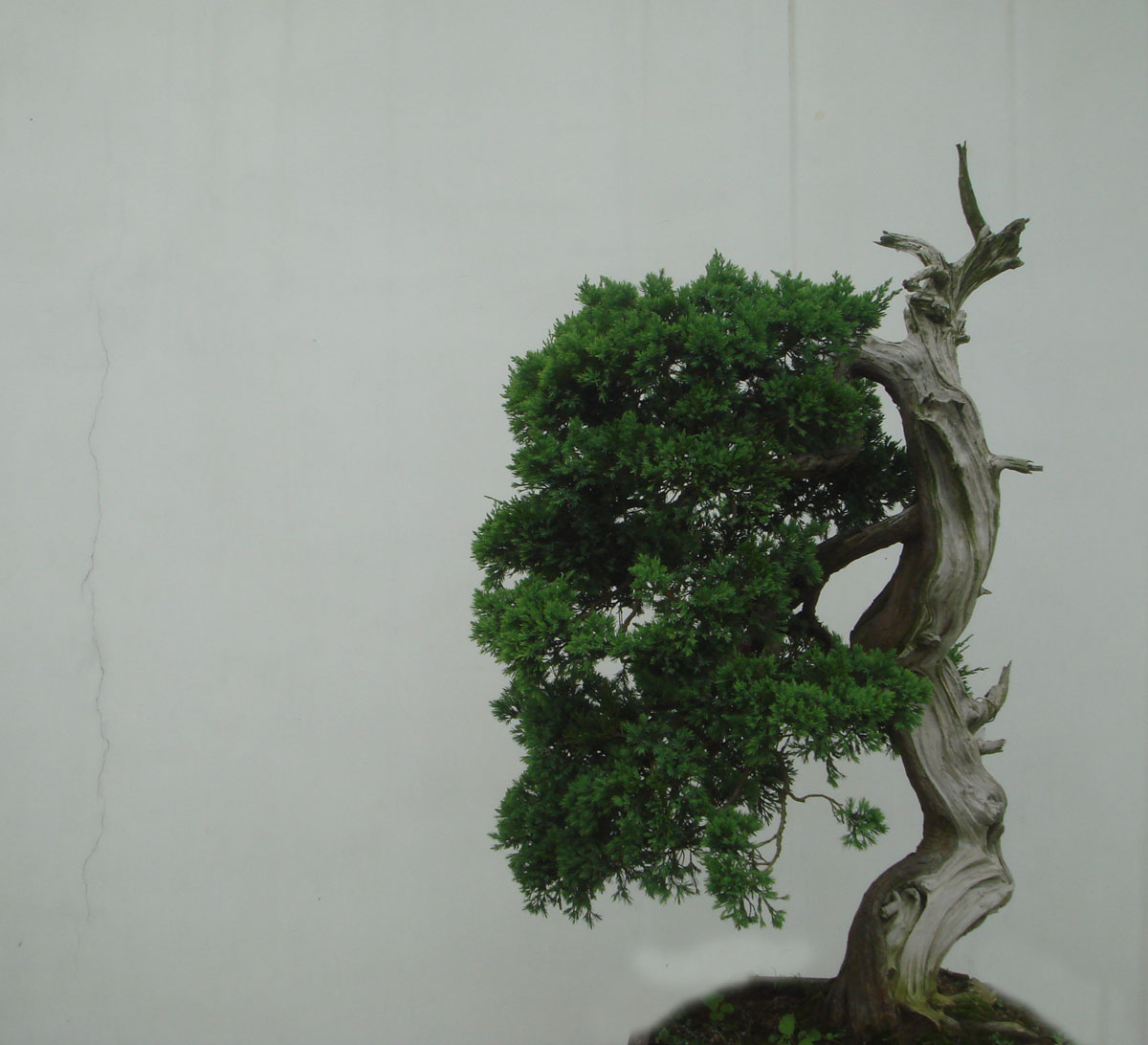 ���� DSC00909.JPG