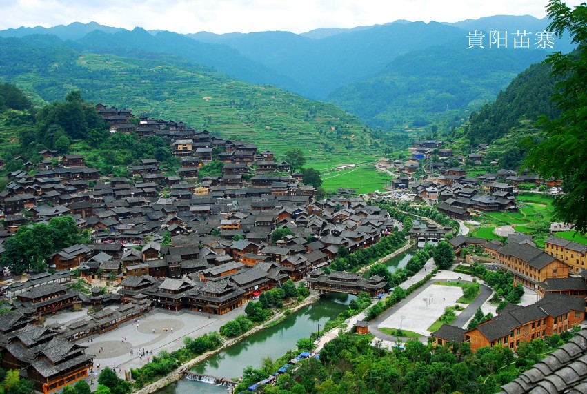 ���� DSC_7249_conew1.JPG