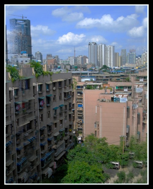 ���� DSC_6288_conew2.JPG