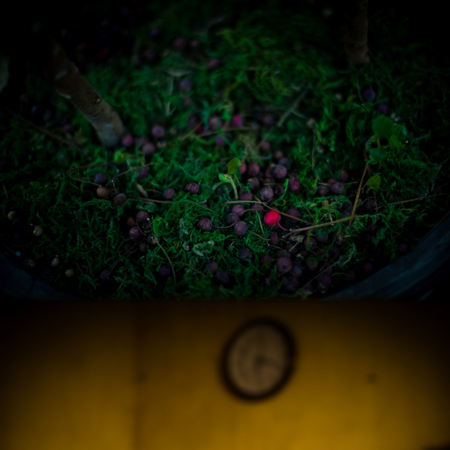 011 ����.jpg