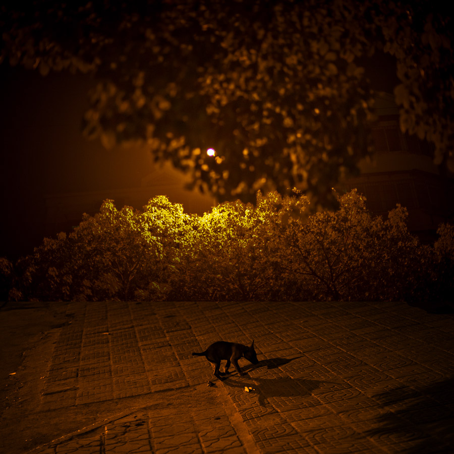 006 ����.jpg