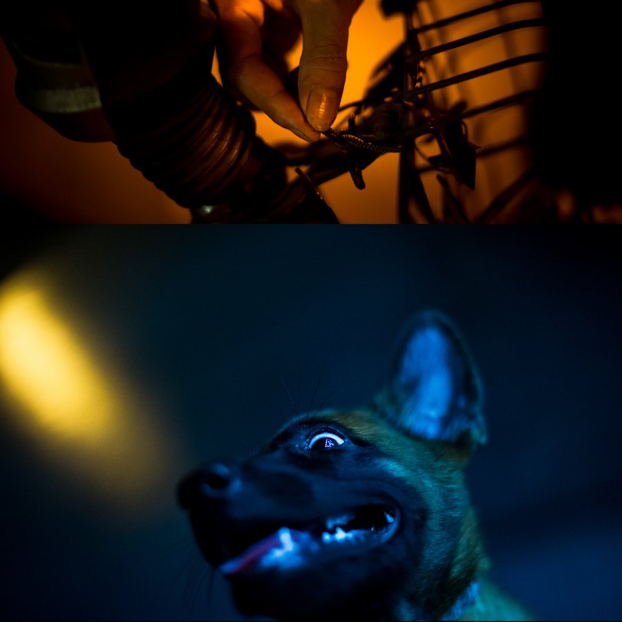 008 ����.jpg