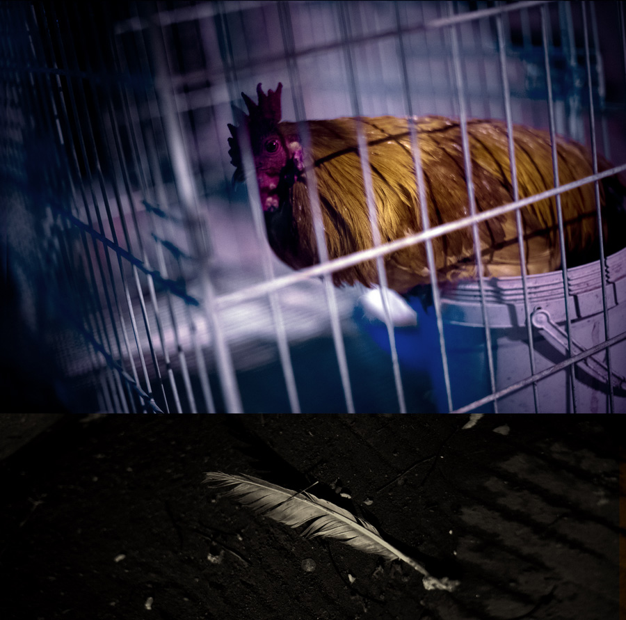 004 ����.jpg